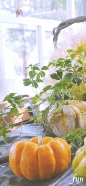 ハロウィンの飾り