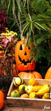 ハロウィンの笑うカボチャ