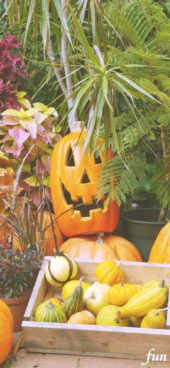 ハロウィンの笑うカボチャ