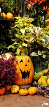 ハロウィンの笑うカボチャ