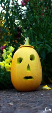 かぼちゃのランタン