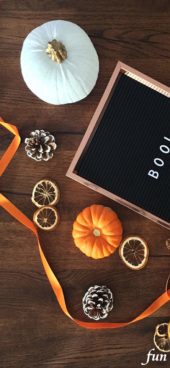 ドライオレンジとかぼちゃ