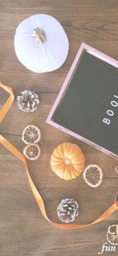 ドライオレンジとかぼちゃ