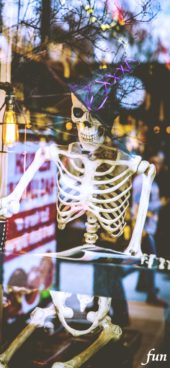 ショーウインドウのガイコツ