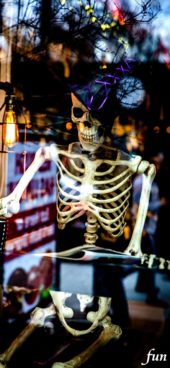 ショーウインドウのガイコツ