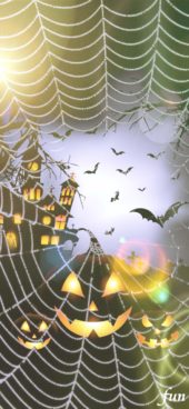 ホラーな城と蜘蛛の巣