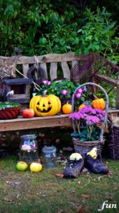 ハロウィンの庭