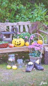 ハロウィンの庭