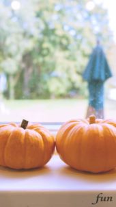 窓際のかぼちゃ