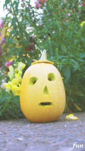 ランタン顔のかぼちゃ