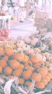 かぼちゃのお店