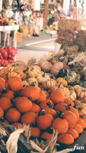 かぼちゃのお店