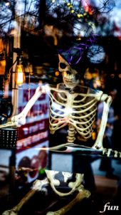 ショーウインドウのガイコツ