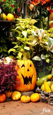 笑うハロウィンかぼちゃ