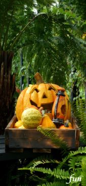 笑うハロウィンかぼちゃ