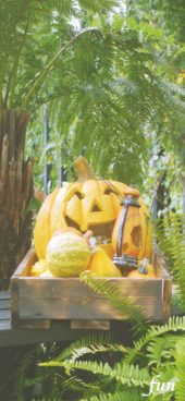 笑うハロウィンかぼちゃ