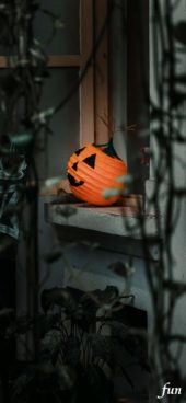 ハロウィン提灯