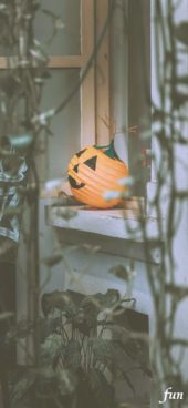 ハロウィン提灯