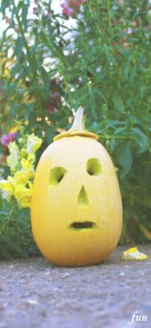 和み顔のかぼちゃ
