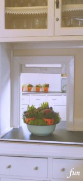 キッチンのハロウィン