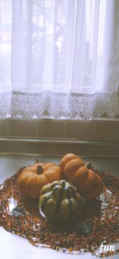 キッチンの窓際に飾ったかぼちゃ
