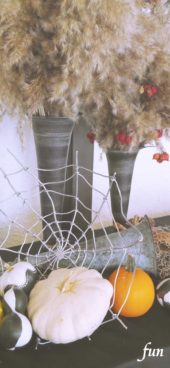 蜘蛛の巣とカボチャのハロウィン飾り