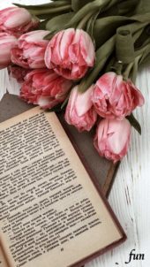 ピンクのチューリップ