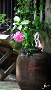 陶器に飾った花