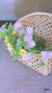 カゴに飾った花