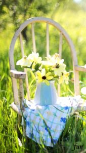 クリーム色の花