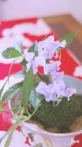 和に飾ったスィートピー