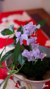 和に飾ったスィートピー