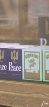 店のショーウインドウ