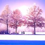iPhoneロック画面等おしゃれな冬の無料壁紙を機種サイズごとに配信中