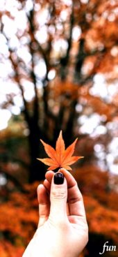 秋の葉と女の子