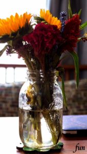 部屋に飾った赤いケイトウ