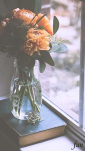 窓際のオレンジの花