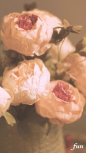 優しい暖かい色の花