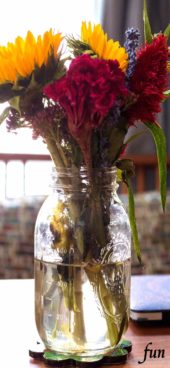 部屋に飾った赤いケイトウ