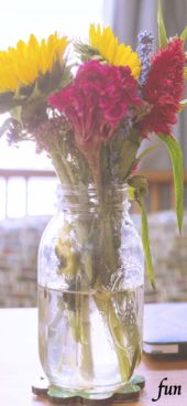 部屋に飾った赤いケイトウ