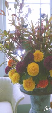 秋のディスプレイの花