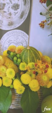 かぼちゃと黄色い花