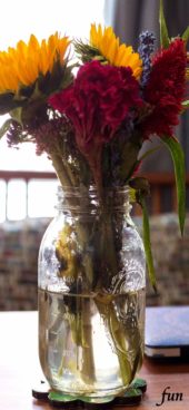 部屋に飾った赤いケイトウ