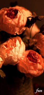 優しくて暖かい色の花