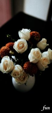 秋に似合うブラウンと白い花