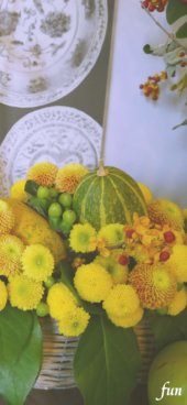 かぼちゃと黄色の花