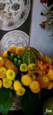 かぼちゃと黄色の花