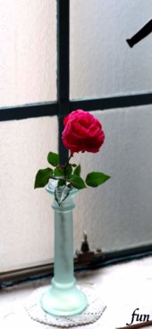 窓際の赤いバラ
