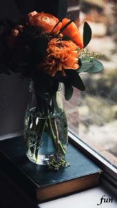 窓際のオレンジの花