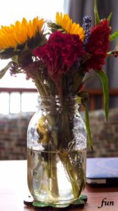 部屋に飾った赤いケイトウ